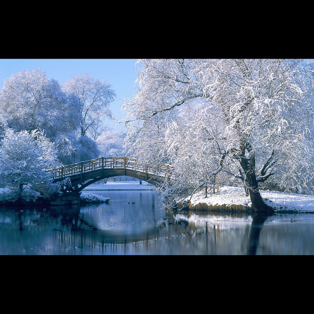 Coupon Code....25% off any one piece of clothing